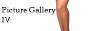 Picture Gallery 4